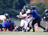 Cox v Landstown (2024 08 29)